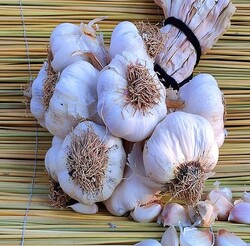 Maraş Market - Sarımsak - 1 Kg